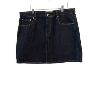 Everlane Indigo Denim A-Line Mini Skirt